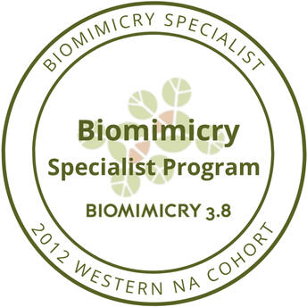 Biomimicry Specialist